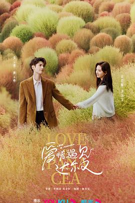 徐州沛县seo优化价格